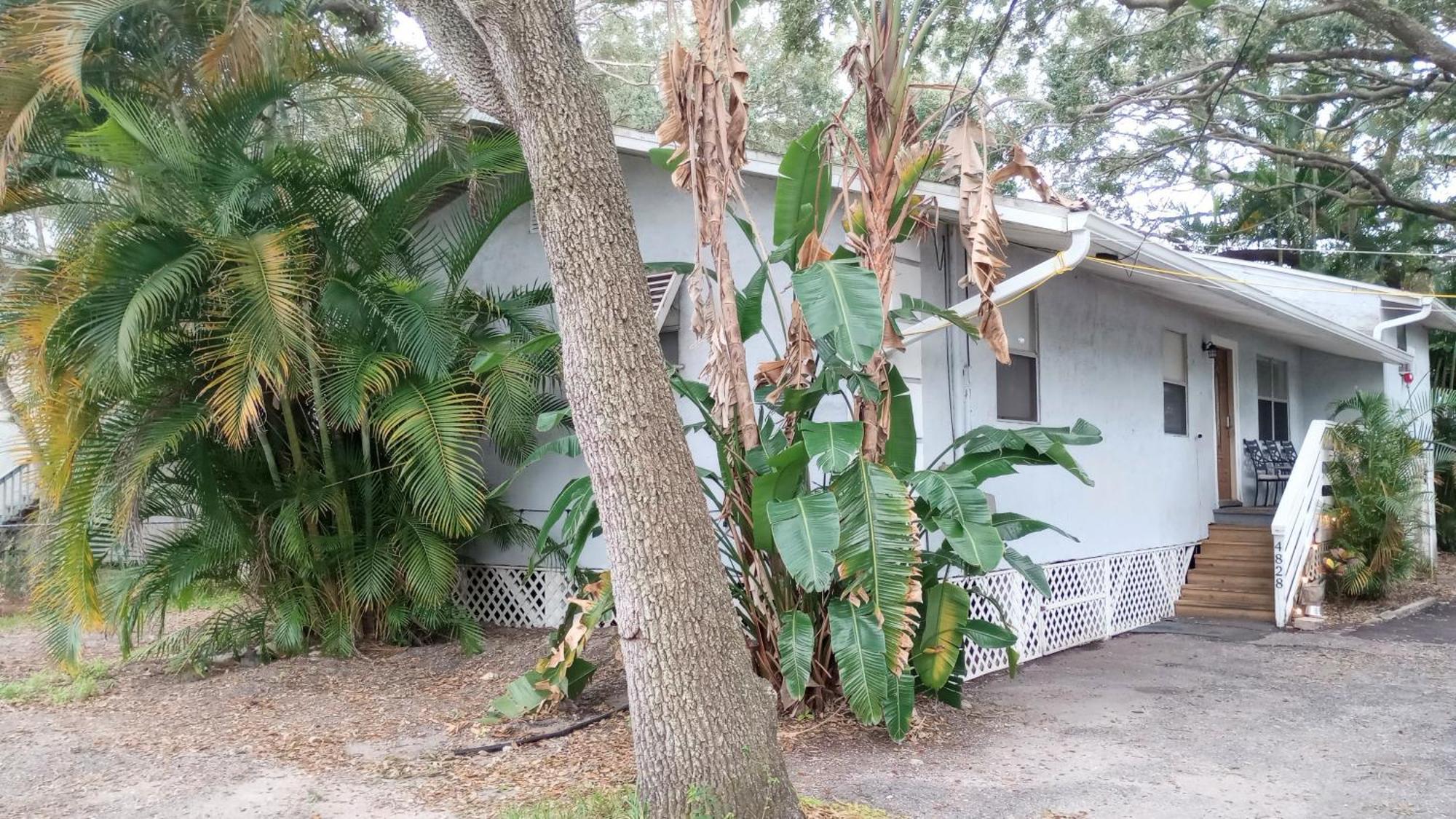 Lenny'S Cooperative Hostel Clearwater Exterior photo